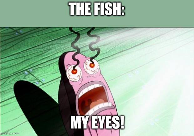 Spongebob My Eyes | THE FISH: MY EYES! | image tagged in spongebob my eyes | made w/ Imgflip meme maker