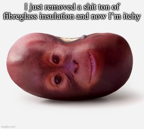 Primate | I just removed a shit ton of fibreglass insulation and now I’m itchy | image tagged in primate | made w/ Imgflip meme maker