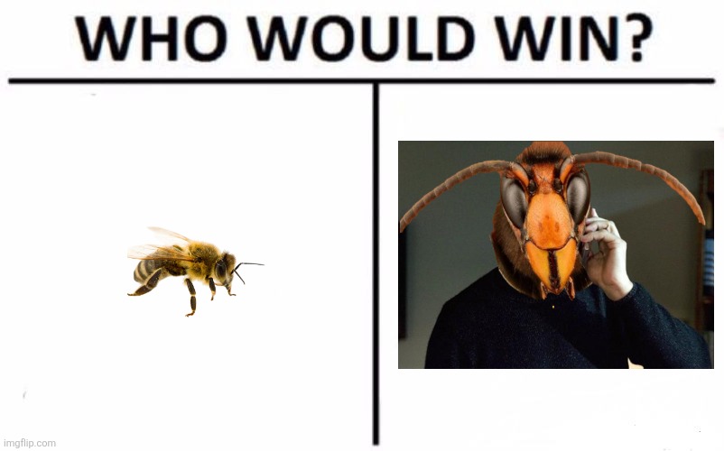 Who Would Win? | image tagged in memes,who would win,murder hornets | made w/ Imgflip meme maker