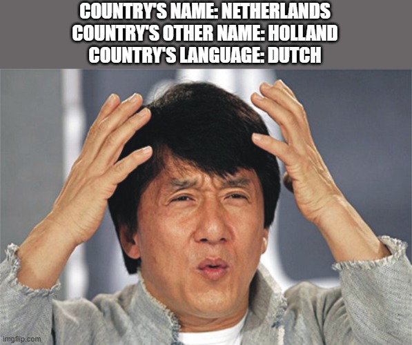 *wtf noises* | COUNTRY'S NAME: NETHERLANDS
COUNTRY'S OTHER NAME: HOLLAND
COUNTRY'S LANGUAGE: DUTCH | image tagged in jackie chan confused,wtf,why,memes,funny,countries | made w/ Imgflip meme maker