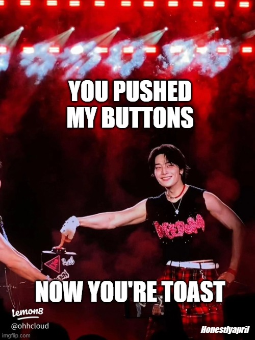 I.N SKZ Button Burning Tires | YOU PUSHED MY BUTTONS; NOW YOU'RE TOAST; Honestlyapril | image tagged in i n burning tires button | made w/ Imgflip meme maker