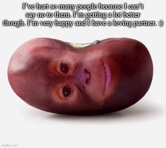 Primate | I’ve hurt so many people because I can’t say no to them. I’m getting a lot better though. I’m very happy and I have a loving partner. :) | image tagged in primate | made w/ Imgflip meme maker