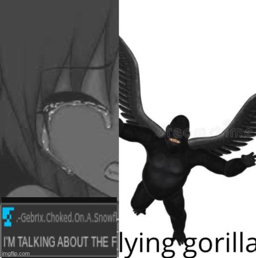 I’m flying gorilla | image tagged in i m flying gorilla | made w/ Imgflip meme maker