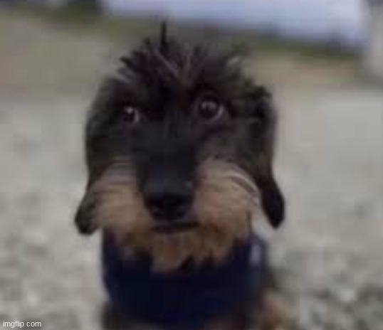 Funny prank idea, Make a parody account, Turn it into your main, become a liked user, tell everyone to forget you, delete. | made w/ Imgflip meme maker