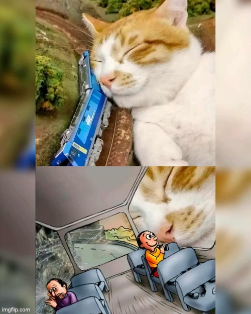 Oh dear | image tagged in memes,funny | made w/ Imgflip meme maker