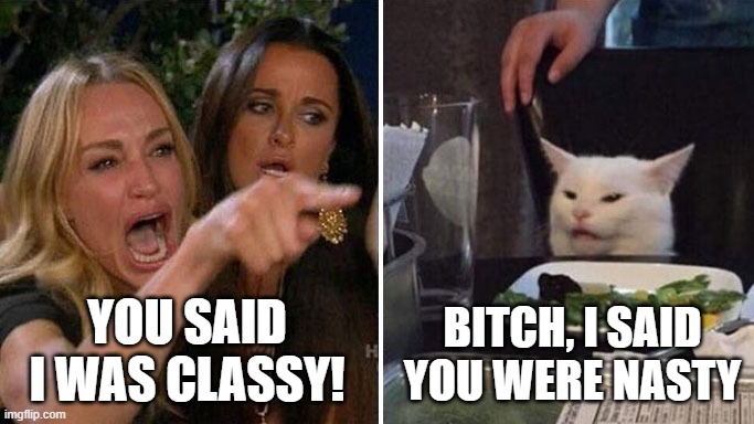 Woman Yelling at Cat | YOU SAID I WAS CLASSY! BITCH, I SAID YOU WERE NASTY | image tagged in angry lady cat | made w/ Imgflip meme maker