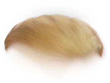 Trump Hair Blank Meme Template