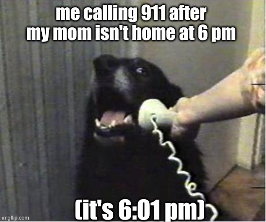it's 5:99 pm -_- | me calling 911 after my mom isn't home at 6 pm; (it's 6:01 pm) | image tagged in yes this is dog,dogs,calling 911 | made w/ Imgflip meme maker