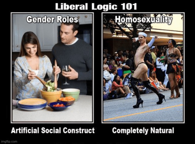 More Looney Liberal Logic | image tagged in liberal logic,liberal privilege,liberal hypocrisy,communist socialist,libtards,duhhh dumbass | made w/ Imgflip meme maker