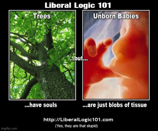 Again More Insanity | image tagged in liberal privilege,liberal hypocrisy,liberal logic,abortion is murder,souls,libtards | made w/ Imgflip meme maker