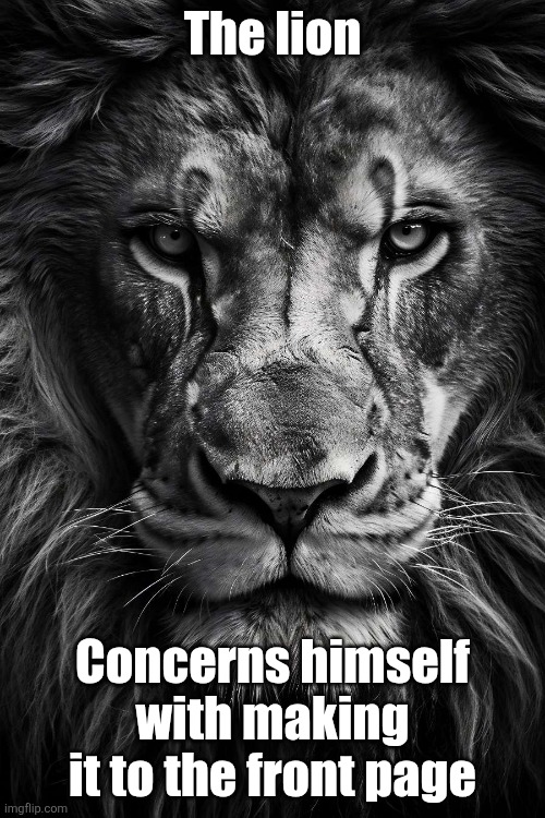 A lion doesn’t concern himseld | The lion; Concerns himself with making it to the front page | image tagged in a lion doesn t concern himseld | made w/ Imgflip meme maker