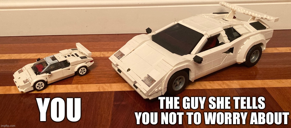 Minifigure scale vs collector scale | YOU; THE GUY SHE TELLS YOU NOT TO WORRY ABOUT | image tagged in memes,you vs the guy she tells you not to worry about | made w/ Imgflip meme maker