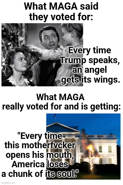 Every. Fvcking. Time. | What MAGA said they voted for:; Every time 
Trump speaks, 
an angel 
gets its wings. What MAGA 
really voted for and is getting:; "Every time this motherfvcker opens his mouth, America loses a chunk of its soul." | made w/ Imgflip meme maker