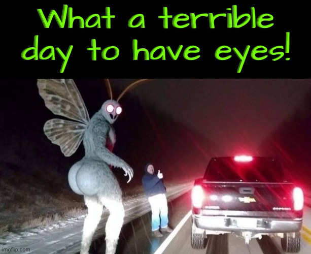 What A Terrible Day To Have Eyes | What a terrible day to have eyes! | image tagged in cursed images,what a terrible day to have eyes,what the hell,fat ass,excuse me wtf | made w/ Imgflip meme maker