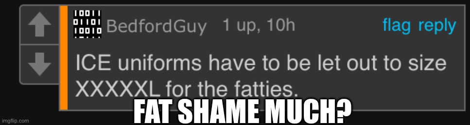 The Irony | FAT SHAME MUCH? | made w/ Imgflip meme maker