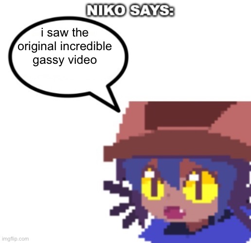 niko says | i saw the original incredible gassy video | image tagged in niko says | made w/ Imgflip meme maker