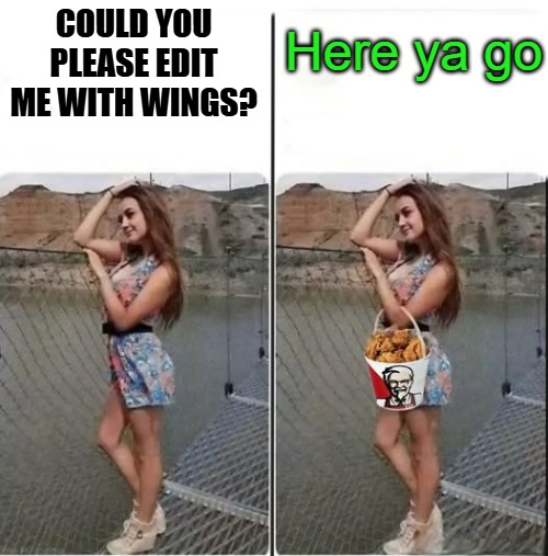 Here ya go; COULD YOU PLEASE EDIT ME WITH WINGS? | made w/ Imgflip meme maker