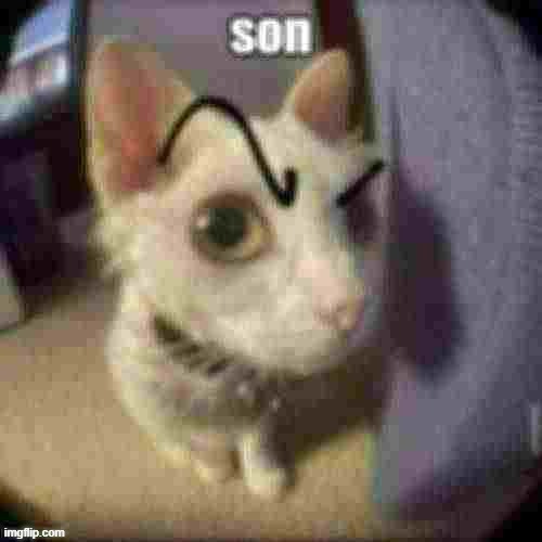 son | image tagged in son | made w/ Imgflip meme maker
