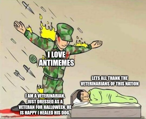 Soldier protecting sleeping child | I LOVE ANTIMEMES; LETS ALL THANK THE VETERINARIANS OF THIS NATION; I AM A VETERINARIAN, JUST DRESSED AS A VETERAN FOR HALLOWEEN. HE IS HAPPY I HEALED HIS DOG. | image tagged in soldier protecting sleeping child | made w/ Imgflip meme maker