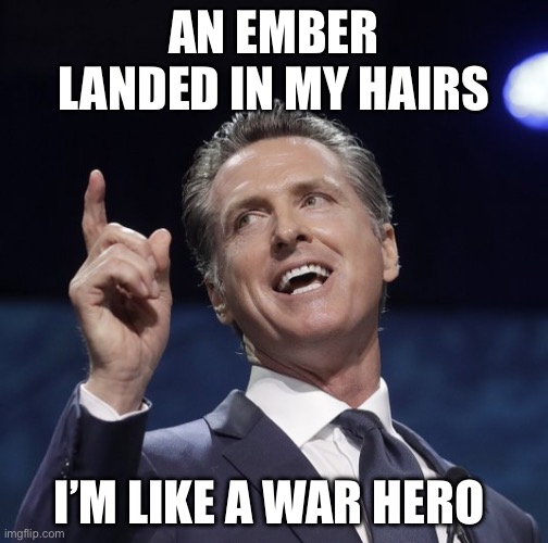 Embers | AN EMBER LANDED IN MY HAIRS; I’M LIKE A WAR HERO | image tagged in gavin newsom,politics,political meme,california fires | made w/ Imgflip meme maker