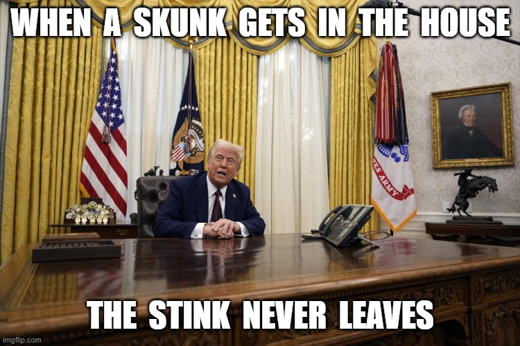 Something Stinks Around Here | WHEN  A  SKUNK  GETS  IN  THE  HOUSE; THE  STINK  NEVER  LEAVES | image tagged in donald trump | made w/ Imgflip meme maker