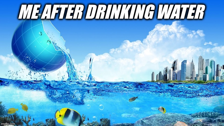 ME: | ME AFTER DRINKING WATER | image tagged in fresh splash | made w/ Imgflip meme maker