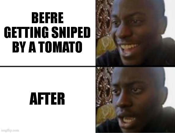 Oh yeah! Oh no... | BEFRE GETTING SNIPED BY A TOMATO AFTER | image tagged in oh yeah oh no | made w/ Imgflip meme maker