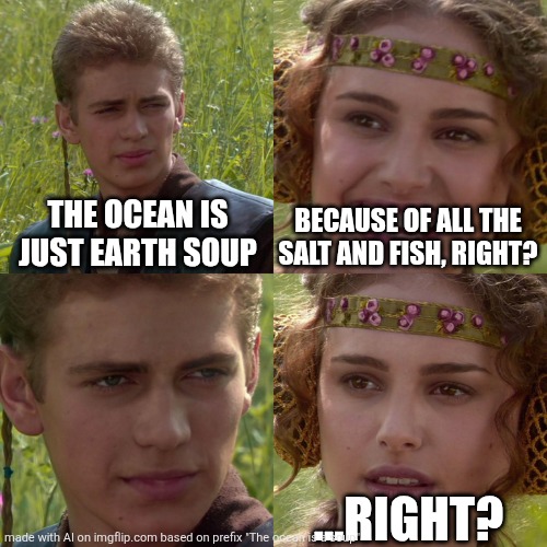 Star wars soup | THE OCEAN IS JUST EARTH SOUP; BECAUSE OF ALL THE SALT AND FISH, RIGHT? ...RIGHT? | image tagged in anakin padme 4 panel | made w/ Imgflip meme maker