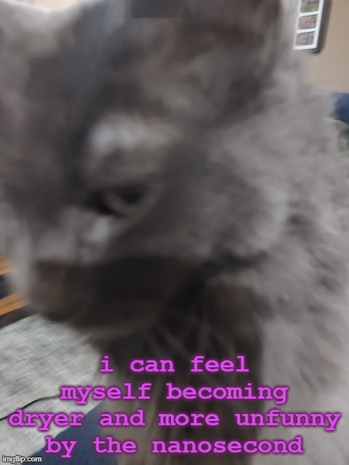 32's Cat | i can feel myself becoming dryer and more unfunny by the nanosecond | image tagged in 32's cat | made w/ Imgflip meme maker