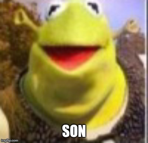 Why tf | SON | image tagged in shrek kermit | made w/ Imgflip meme maker