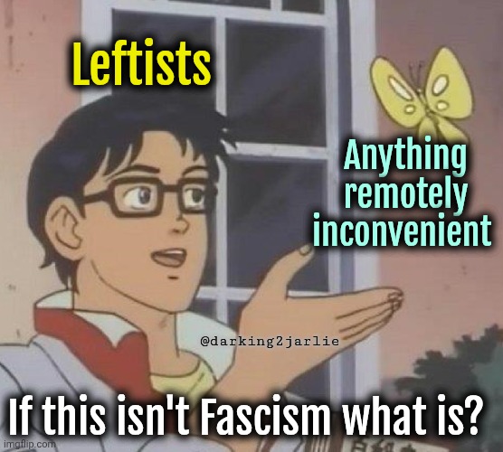 Reality is racist! | Leftists; Anything remotely inconvenient; @darking2jarlie; If this isn't Fascism what is? | image tagged in memes,liberals,liberal logic,politics | made w/ Imgflip meme maker