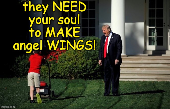 Trump Lawn Mower | they NEED your soul to MAKE angel WINGS! | image tagged in trump lawn mower | made w/ Imgflip meme maker