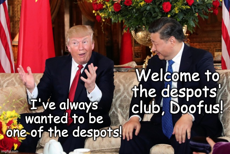 trump and xi | I've always wanted to be one of the despots! Welcome to the despots' club, Doofus! | image tagged in trump and xi | made w/ Imgflip meme maker