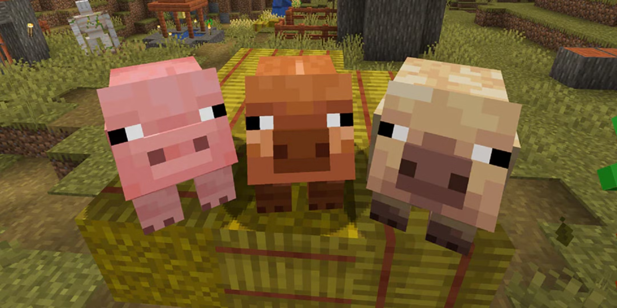 minecraft 3 ekor pig Blank Meme Template