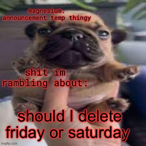 my account | should I delete friday or saturday | image tagged in pug temp | made w/ Imgflip meme maker