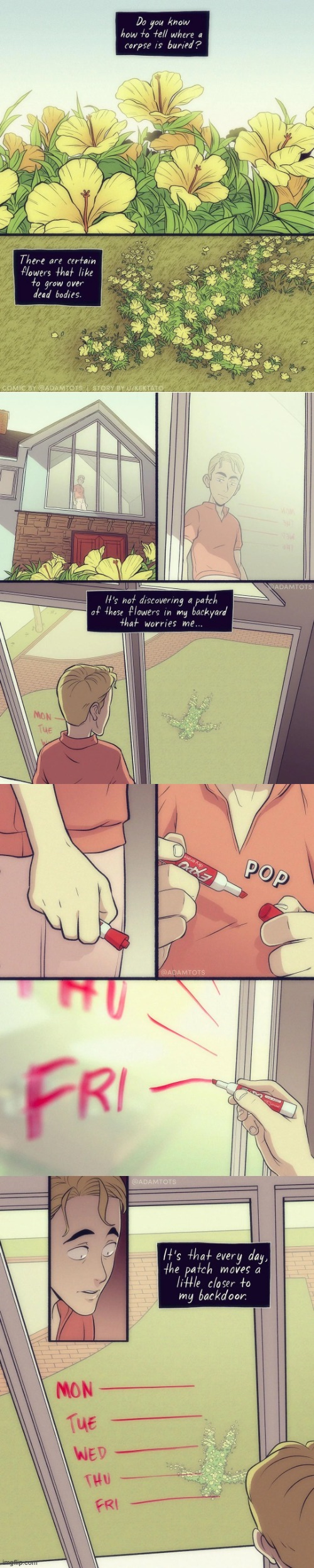 image tagged in corpse,buried,flowers,backyard,moving,wtf | made w/ Imgflip meme maker