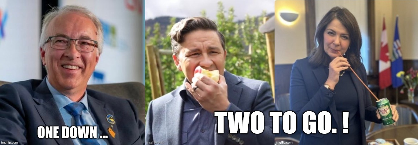 Canadian politics | image tagged in political meme | made w/ Imgflip meme maker