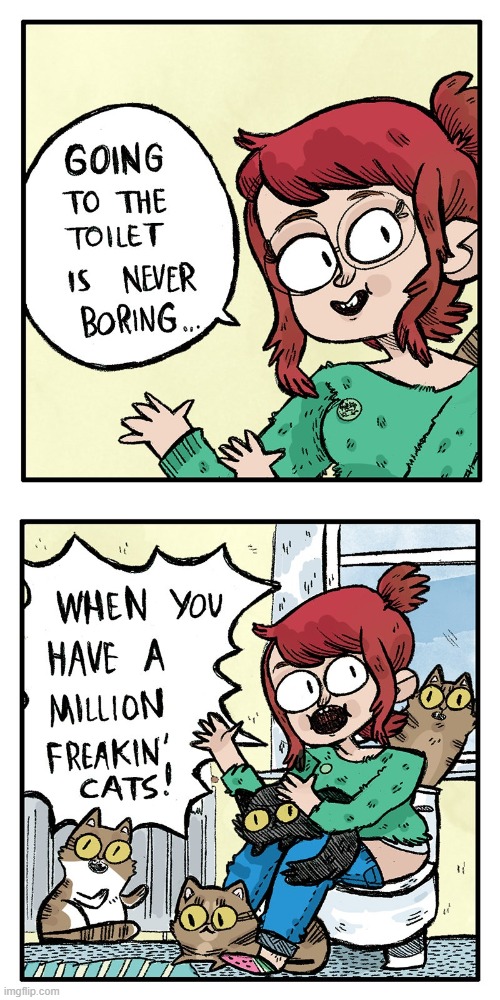 image tagged in toilet,bathroom,boring,never,cats,chaos | made w/ Imgflip meme maker