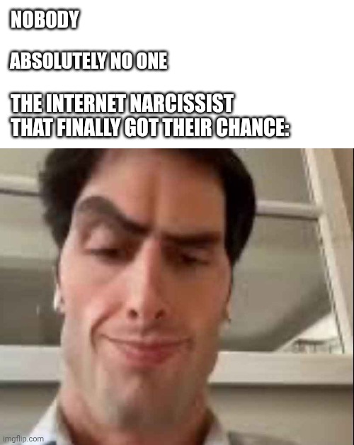 That One Internet Narcissist | NOBODY; ABSOLUTELY NO ONE; THE INTERNET NARCISSIST THAT FINALLY GOT THEIR CHANCE: | image tagged in ventiler les assets | made w/ Imgflip meme maker