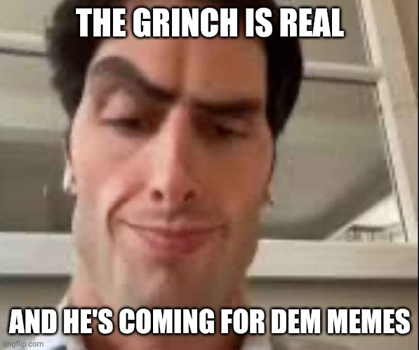 The Grinch Who Stole My Memes | THE GRINCH IS REAL; AND HE'S COMING FOR DEM MEMES | image tagged in ventiler les assets | made w/ Imgflip meme maker