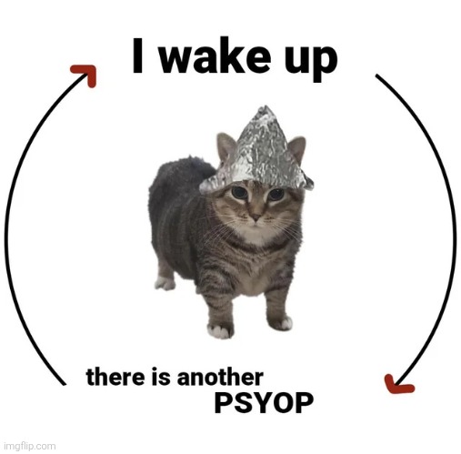 image tagged in i wake up there is another psyop | made w/ Imgflip meme maker