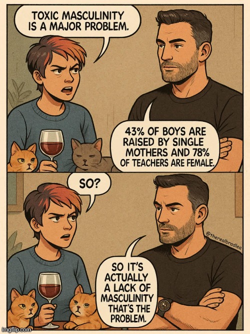 There is no such thing as 'toxic masculinity'. It is the lack of masculinity that is toxic. | image tagged in memes | made w/ Imgflip meme maker
