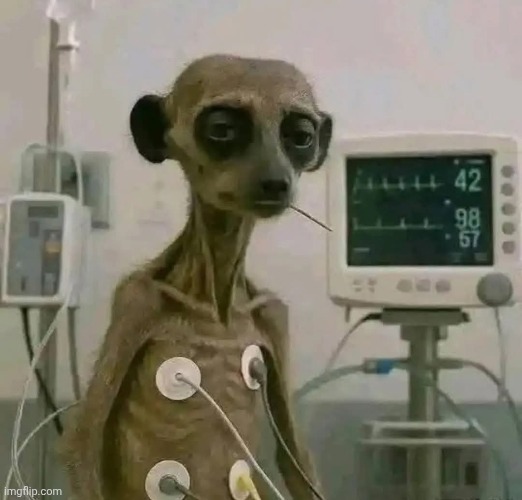 This stream rn: | image tagged in guhhh | made w/ Imgflip meme maker