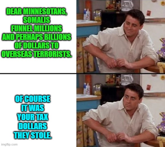 It's all leftist ideological fun and games until YOU have to pay for it. | DEAR MINNESOTANS, SOMALIS FUNNEL MILLIONS AND PERHAPS BILLIONS OF DOLLARS TO OVERSEAS TERRORISTS. OF COURSE IT WAS YOUR TAX DOLLARS THEY STOLE. | image tagged in surprised joey | made w/ Imgflip meme maker