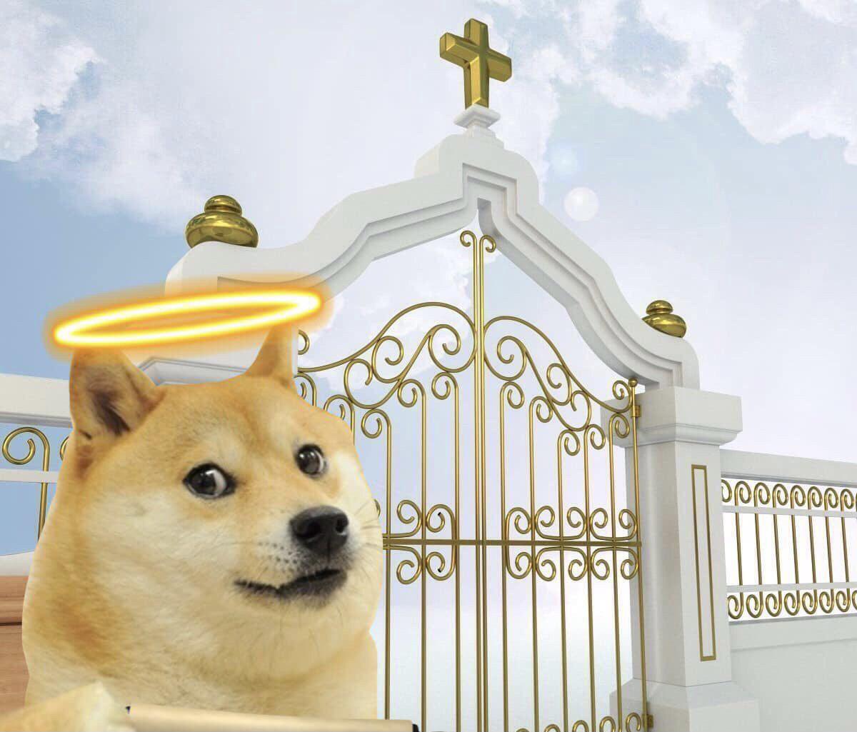 Doge heaven gate Blank Meme Template