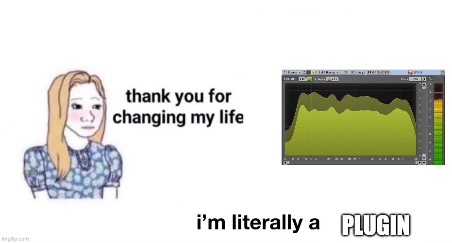 You literally changed my life | PLUGIN | image tagged in you literally changed my life | made w/ Imgflip meme maker