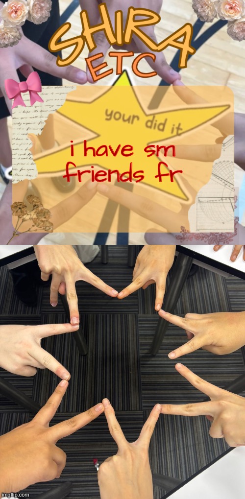 i have sm friends fr | image tagged in shira s best temp | made w/ Imgflip meme maker