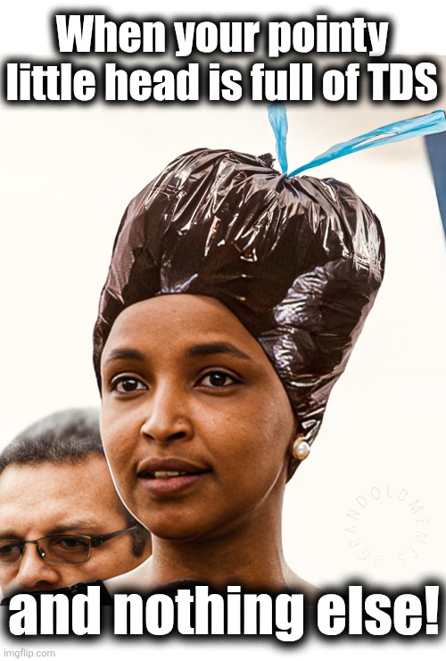 When your pointy little head is full of TDS; and nothing else! | image tagged in memes,ilhan omar,democrats,brotherly love,trump derangement syndrome,idiot | made w/ Imgflip meme maker
