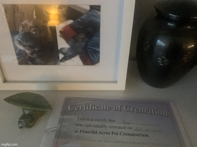 Fuck being a jew or a Christian I worship her | made w/ Imgflip meme maker