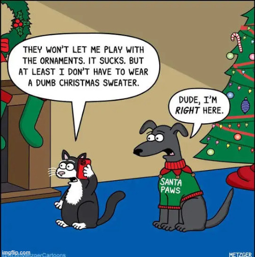 Could be worse | image tagged in repost,could be worse | made w/ Imgflip meme maker